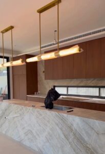 9 Ravenna St Strathfield - 2